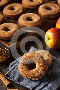 Warm Apple Cider Donuts