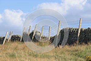 Warm autumn glow on a field of long grass with a fence and stone wall