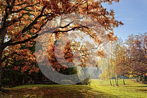 Warm autumn scenery in a forest, with the sun rays of light