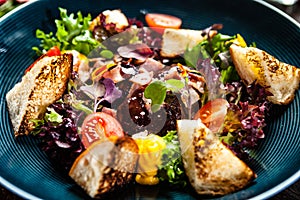 Warm chicken liver salad with port wine-honey sauce. Carrot cream, bacon, cherry tomatoes, brioche. Delicious healthy