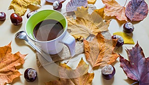 Warm coffee or cocoa in cup surrounded by autumn leaves and chestnuts. Stylish autumn top view. Seasonal cozy and warm image.