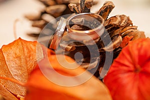 Nuptial Elegance: Wedding Bands Set Against a Rustic Fall Display photo