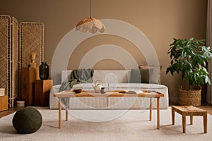 Warm and cozy composition of living room interior with modular sofa, wooden coffee table, rattan sideboard, lamp, round green