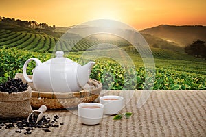 Warm cup of tea with teapot, green tea leaves and dried herbs on the bamboo mat at morning in plantations background with empty