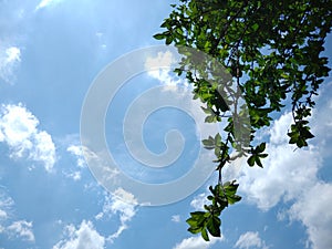 Warm day, sunshine day, beautiful day blue sky white clouds green leaves fresh air