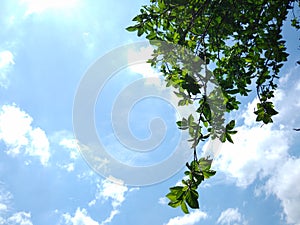 Warm day, sunshine day, beautiful day blue sky white clouds green leaves fresh air