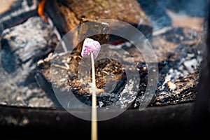 A Warm Fire With a Marshmellow