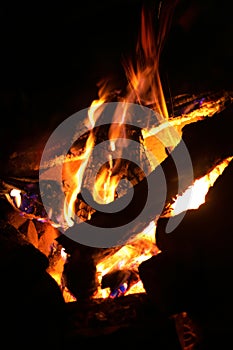 Warm fireplace with lots of trees ready for barbecue. A close up photo of a campfire