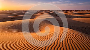 With the warm glow of the setting or rising sun casting long