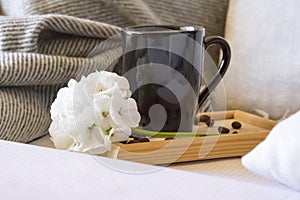 Warm home atmosphere, a mug of freshly brewed coffee, grains, a notebook for records, a grey blanket and pillows