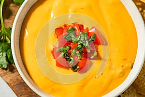 Warm Homemade Cheesy Queso Dip