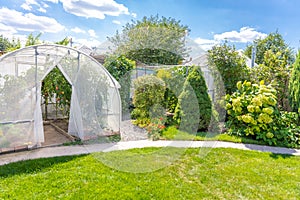 Warm house with tomatoes in private house garden in back yard