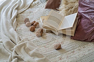 Warm interior of the living room with an open book with walnuts. Read, Rest. winter weekend concept. Cozy autumn or winter concept
