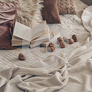 Warm interior of the living room with an open book with walnuts. Read, Rest. winter weekend concept. Cozy autumn or winter concept