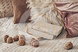 Warm interior of the living room with an open book with walnuts. Read, Rest. winter weekend concept. Cozy autumn or winter concept