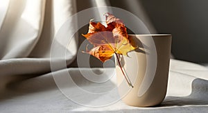 Autumn Still Life with Maple Leaf