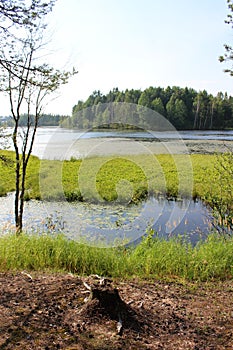 A warm July day at HÃÂ¶trÃÂ¤sket in LuleÃÂ¥