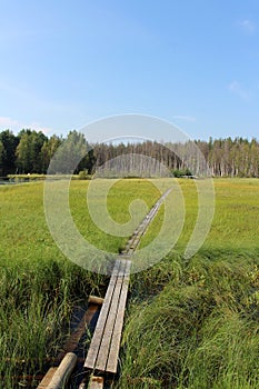 A warm July day at HÃÂ¶trÃÂ¤sket in LuleÃÂ¥