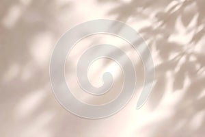 Warm Leaf Shadow Background With Beige Tones And Soft Sunlight For Elegant Branding Use