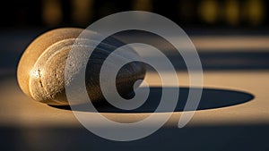 Warm light from the left creating contrast between the lit and