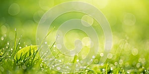 Warm Lime Green Background with Macro Lens Effect photo