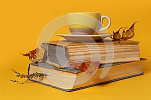 Warm memories of a bygone autumn: a stack of books with bookmarks from dry leaves, a yellow cup of tea on it, a yellow background