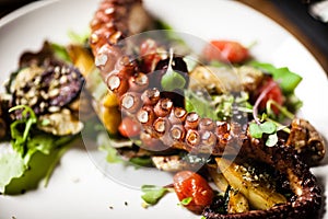 Warm octopus salad with stir fried vegetables and aji sauce on white plate. Delicious healthy mediterranean traditional