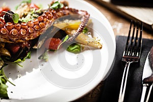 Warm octopus salad with stir fried vegetables and aji sauce on white plate. Delicious healthy mediterranean traditional