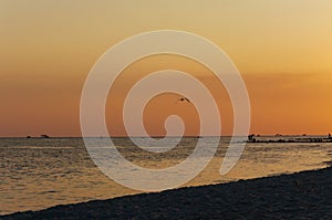 A warm orange sunset on the shore of the ocean, the sea, draws silhouettes in the sunset of a summer