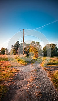 Warm rural farm track path with telegraph pole sunset sunrise