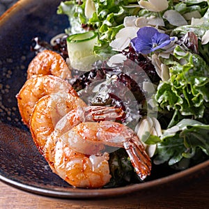 Warm salad with avocado, shrimps, tomatoes and herbs in cup.