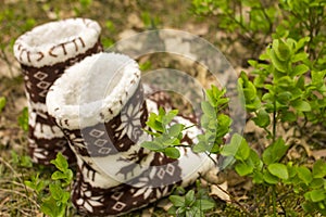 Warm socks in the forest