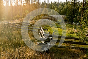 Warm sun rays paint the environment above a wood fence and bridge