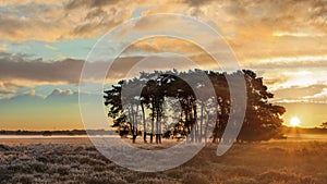 Warm sunrays over a tranquil moor during daybreak at Regte Heide, Goirle