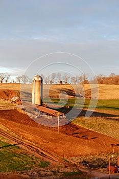 Warm sunrise on the cattle farm