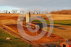 Warm sunrise on the cattle farm