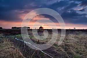 Warm sunset over wild marshes