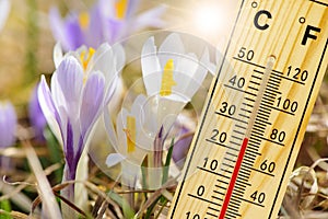 Warm temperature at spring with fine weather and sun