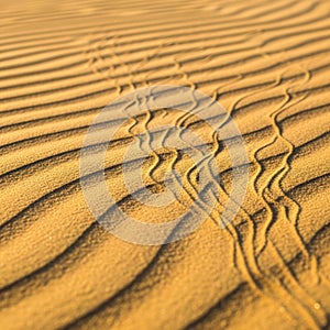 The warm, textured surface is gently sculpted by the wind, showcasing