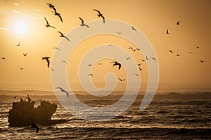 Warm toned image of a sunset with a ship wreck