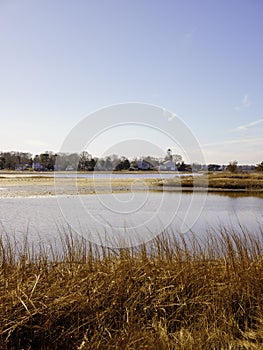 Warm Toned Seascape over Winter Beach Grasses photo