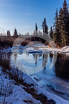 Warm weather opens the water in winter. Tay River Provincial Recreation Area Alberta Canada