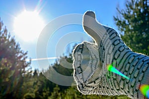 Warm winter glove on the background of green trees in the forest and the sun`s rays in the blue sky.