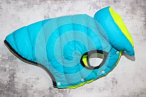 Warm winter vest for a dog in bright blue and yellow colors