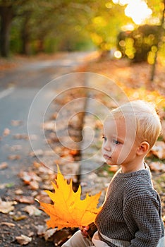 Warmth and coziness. Happy childhood. Sweet childhood memories. Child autumn leaves background. Warm moments of autumn