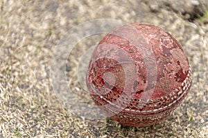 Warn Cricket Ball