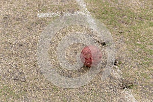 Warn Cricket Ball