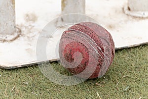 Warn Cricket Ball