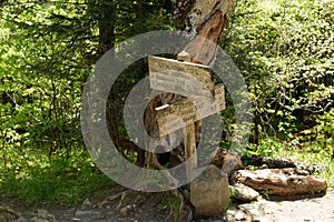 Warn trail intersection sign along the Appalachian Trail