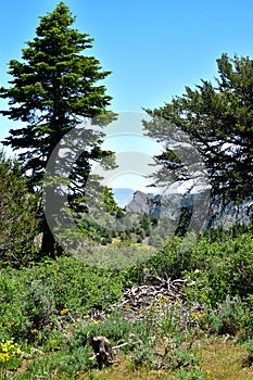 Warner Mountains, Modoc County, California